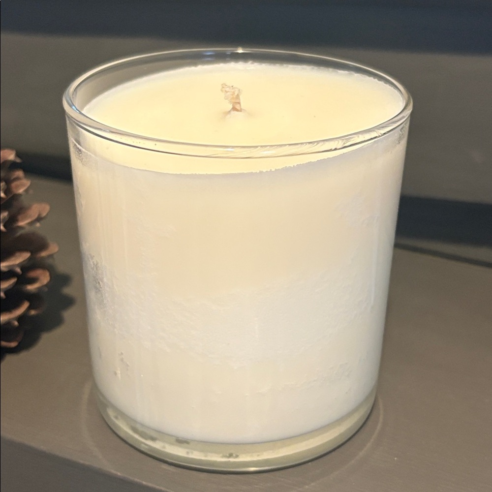 Basil Plant the Box Soy Candle 9 oz - Picture 2 of 13